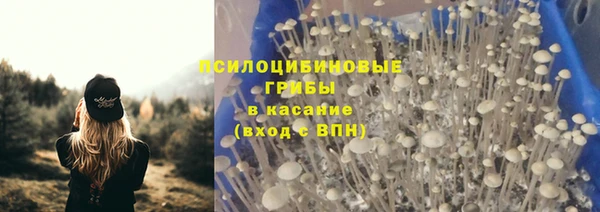 винт Дмитров