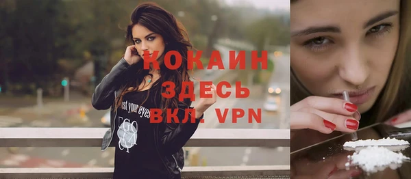 винт Дмитров