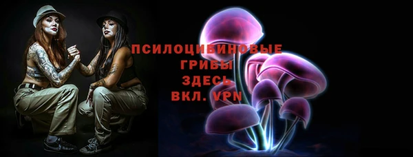а пвп мука Дмитриев