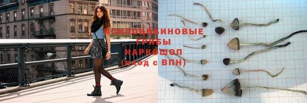 а пвп мука Дмитриев